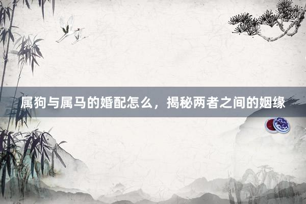 属狗与属马的婚配怎么，揭秘两者之间的姻缘
